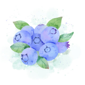 水彩手绘水果蓝莓