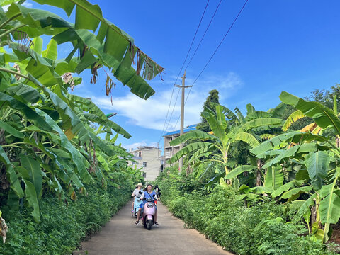 海南民居