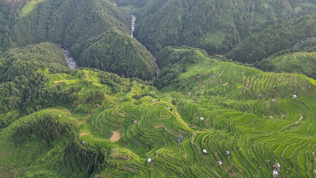 加榜梯田