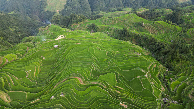 加榜梯田