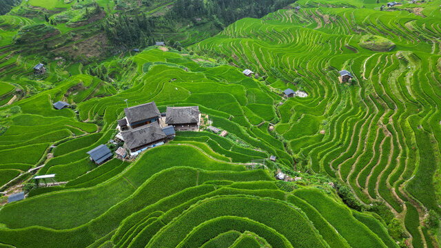 加榜梯田