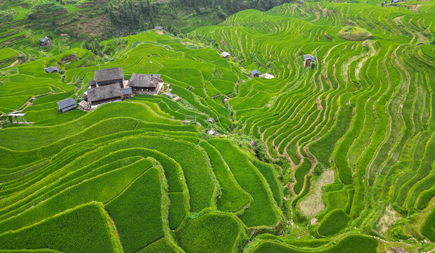 加榜梯田