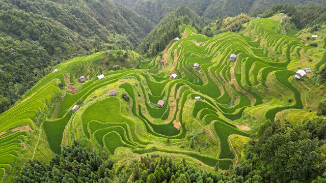 加榜梯田