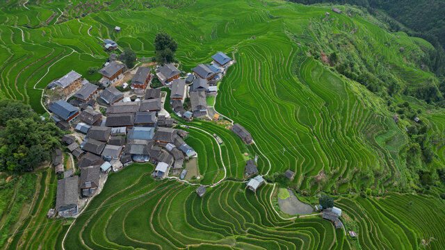 加榜梯田