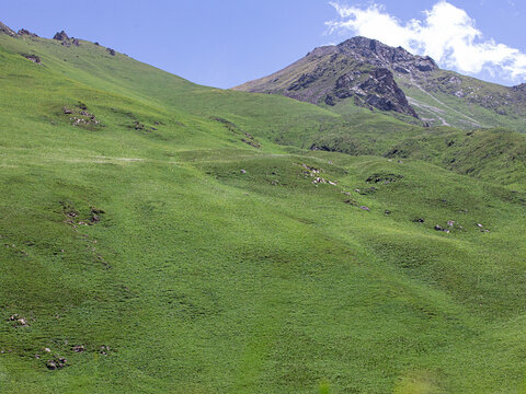 有绿色草地山顶云朵的自然风景