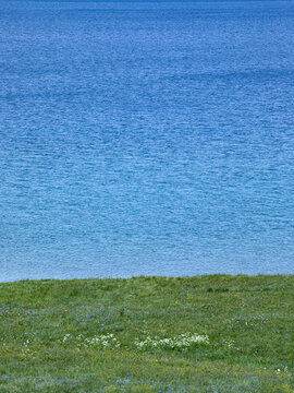 赛里木湖的蓝色湖面和草原