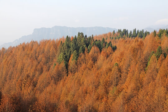 山岭秋色