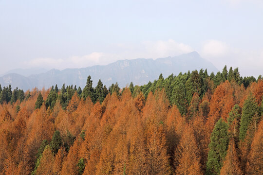 山岭秋色