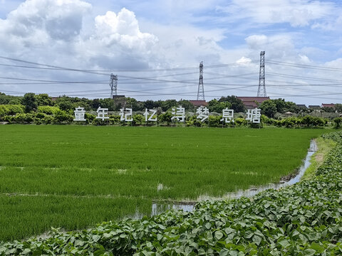 美丽乡村新农村息塘村水稻田