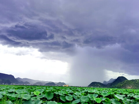 暴风雨