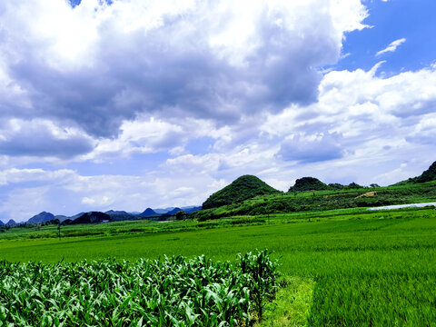 田野田园