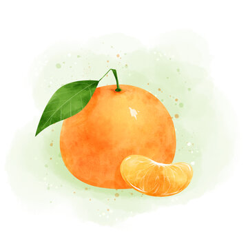 水彩水果橘子