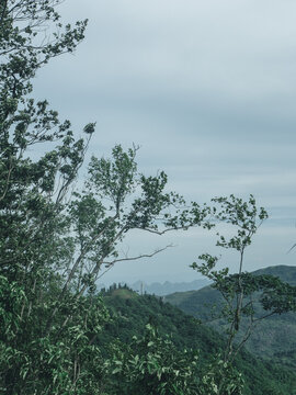 高山云海