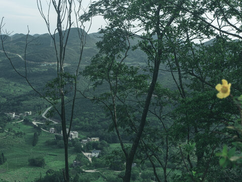 高山云海