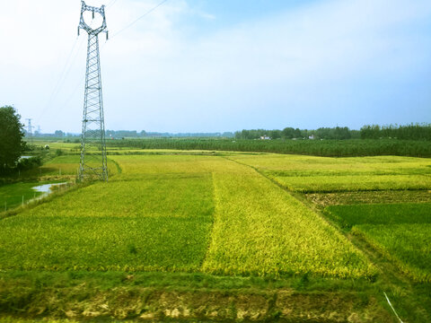 肥沃田野