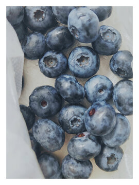 蓝莓鲜果蓝莓图片