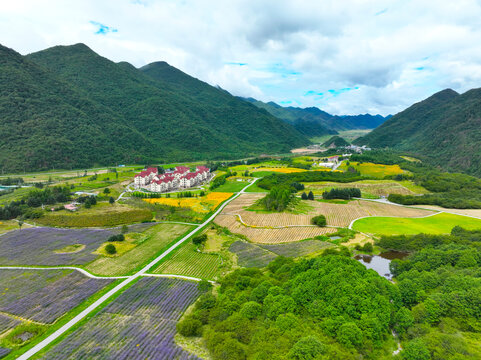 巫溪红池坝云中花海