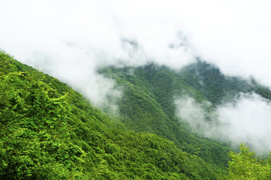 巫溪红池坝风景美如画