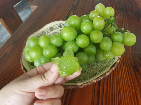 醉金香葡萄特写