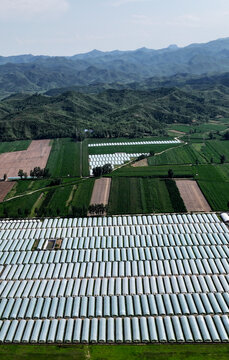 张家口大山深处种植大棚