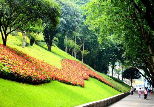 重庆街道绿化景观