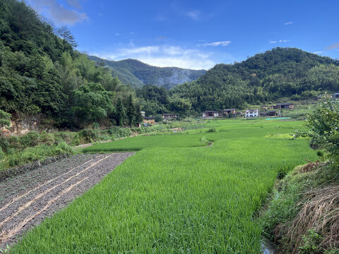 田园风景