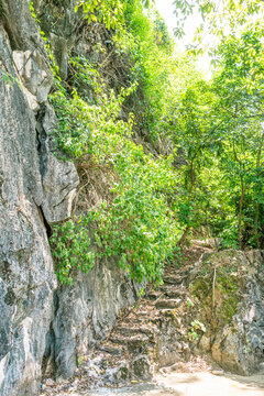 阆风岩阳光树林山石阶梯