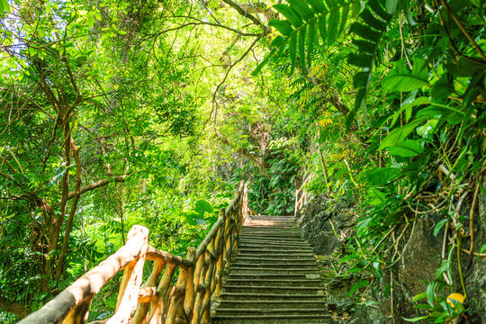 肇庆七星岩旅游绿色登山道