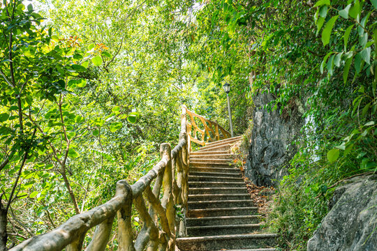 绿色山林星湖登山道