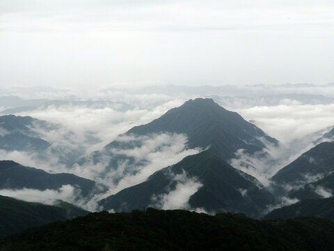 山中晨雾