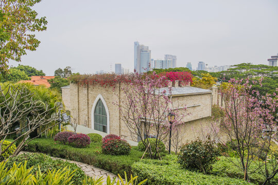 鼓浪屿房顶长着植物花草建筑