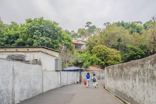 鼓浪屿柏油路水泥墙树林小房