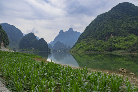 田园风景