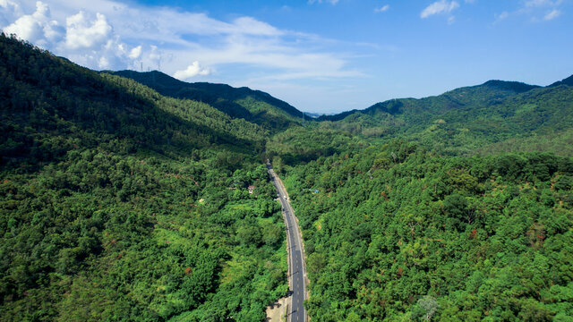 绿色山林林荫大道