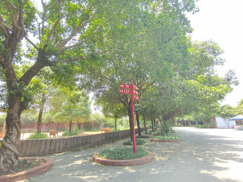 平南动物园