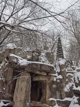 冬日雪景