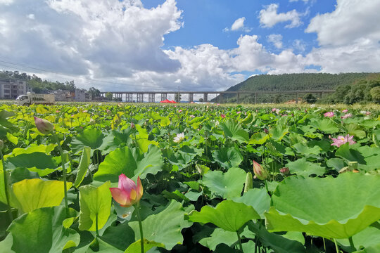 乡村风貌