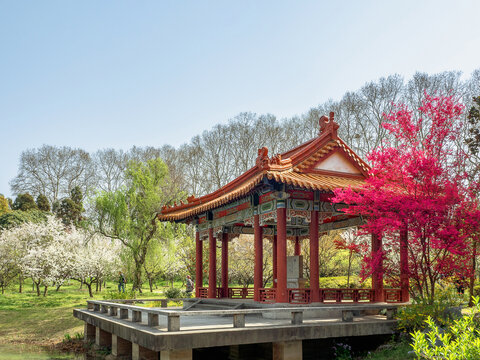 南京梅花山仿古建筑