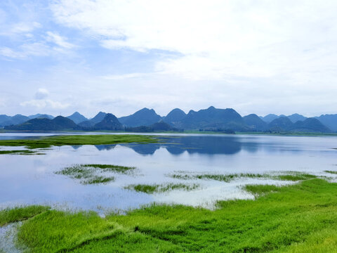 湖泊湿地