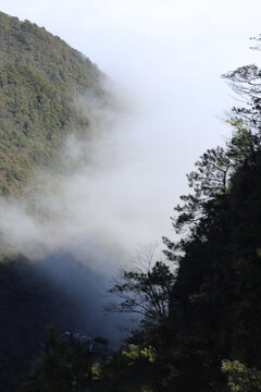 山谷云雾高山云海景区游玩