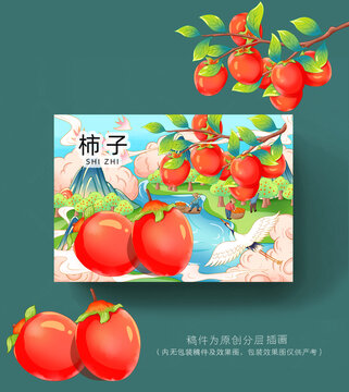蒲州珠蜜柿插画包装