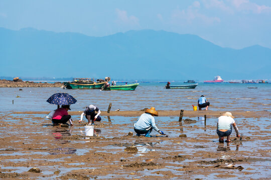 海陵岛赶海