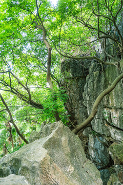 七星岩过山亭风景