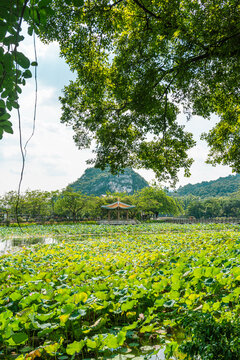 广东肇庆七星岩旅游荷香亭