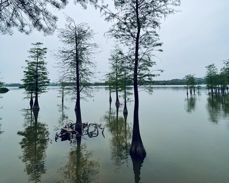 湖泊倒影