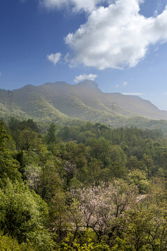 高山峡谷