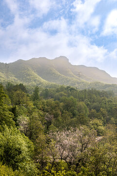 高山峡谷