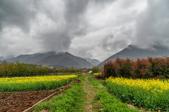 秦岭山