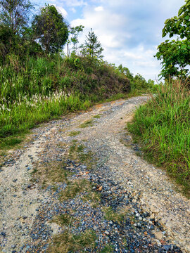 山间小路