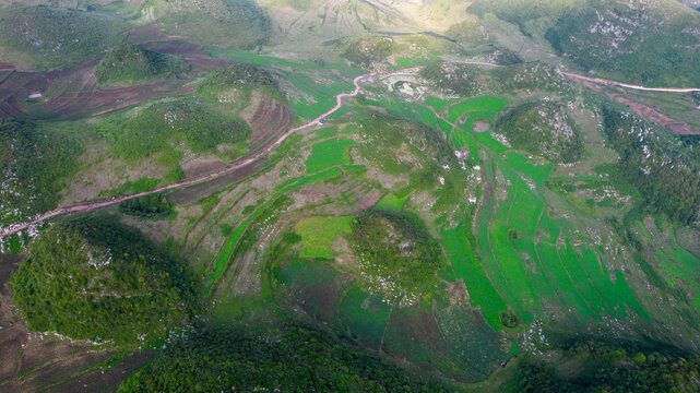 高山耕地